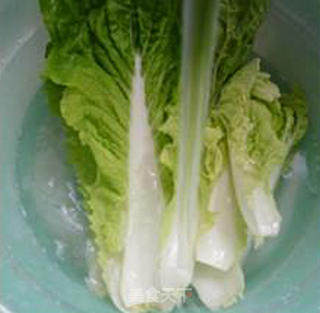 肉丝炒五号菜的做法步骤：4