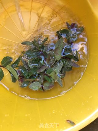 炸薄荷的做法步骤：9