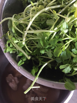 西洋菜排骨汤的做法步骤：4