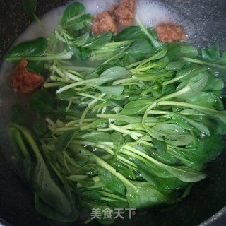 鸡毛菜肉丸汤的做法步骤：2