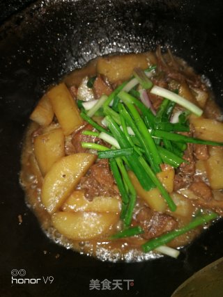 鸭肉焖萝卜条的做法步骤：10