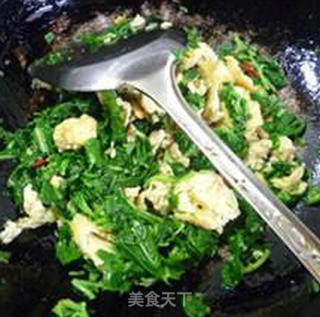 白米苋炒鸡蛋的做法步骤：12