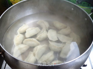 小白菜猪肉馅水饺的做法步骤：10