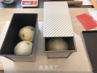 牛奶葡萄干吐司的做法步骤：11