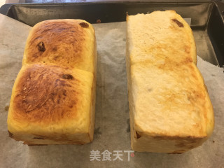 牛奶葡萄干吐司的做法步骤：15