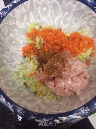 白菜胡萝卜肉馅饺子的做法步骤：5