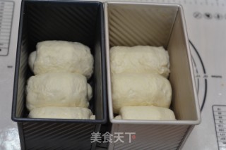 中种淡奶油吐司双份的做法步骤：10