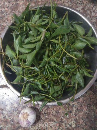 野菜-软江叶的做法步骤：1