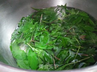 野菜--马兰头的做法步骤：4