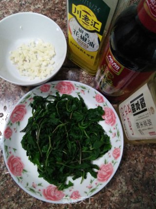 野菜--马兰头的做法步骤：7