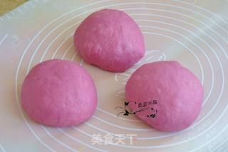 蔓越莓椰蓉乳酪软欧的做法步骤：6