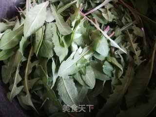 蒲公英蘸酱的做法步骤：2