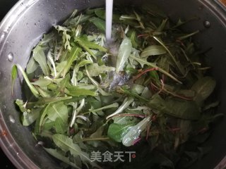 蒲公英蘸酱的做法步骤：3