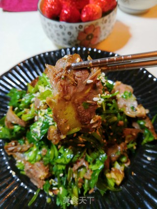 香菜凉拌卤牛肉的做法步骤：10