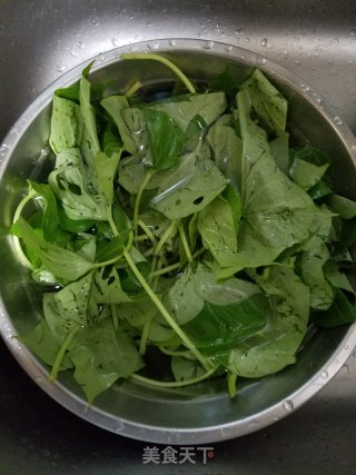 蒜蓉炒蕃薯叶的做法步骤：1