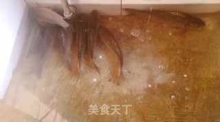 红烧泡椒土鲫鱼的做法步骤：1