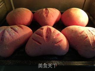 红心火龙果面包的做法步骤：15