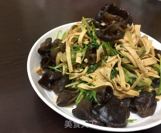 豆腐丝炒芜茜的做法步骤：9