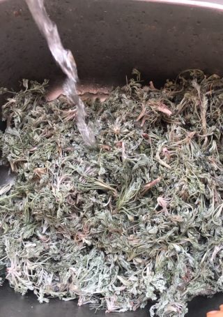 茵陈茶水的做法步骤：2