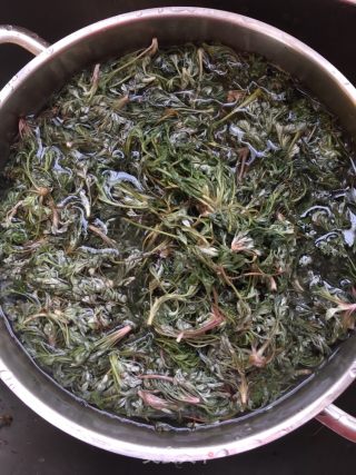 茵陈茶水的做法步骤：3