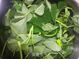 蒜蓉豆鼓炒番薯叶的做法步骤：1