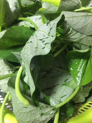 蒜蓉豆鼓炒番薯叶的做法步骤：4