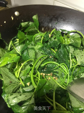 蒜蓉豆鼓炒番薯叶的做法步骤：6
