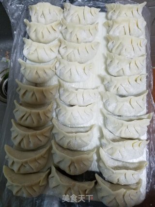 槐花猪肉饺子的做法步骤：5