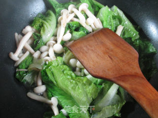 白玉菇炒生菜的做法步骤：4