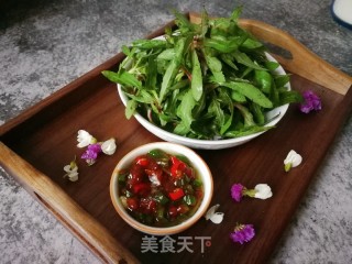 曲曲菜蘸酱的做法步骤：7