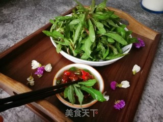 曲曲菜蘸酱的做法步骤：8