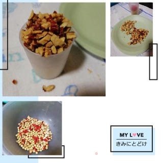 养颜豆浆的做法步骤：2