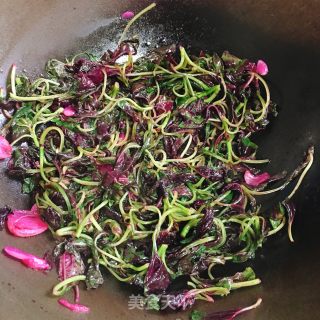 蒜香苋菜的做法步骤：5