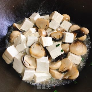 草菇烧豆腐的做法步骤：7