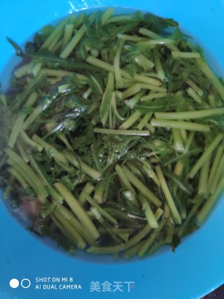 凉菜  茼蒿鸡蛋的做法步骤：5