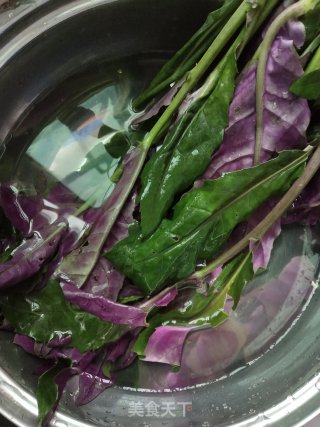 蒜蓉血皮菜的做法步骤：1