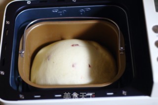 蔓越莓酸奶面包（面包机版）的做法步骤：11