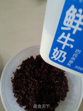 牛奶紫米饮的做法步骤：1