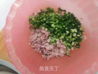 香菇韭菜猪肉饺子的做法步骤：4