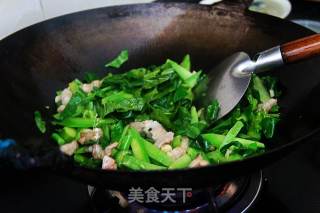 五花肉炒菜心的做法步骤：5