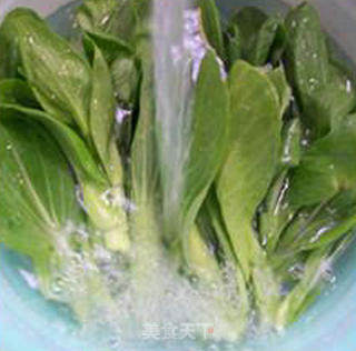 花蛤肉炒菜芯的做法步骤：4