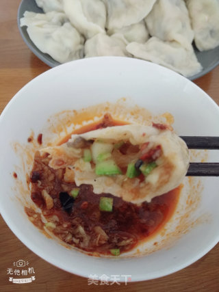 西葫芦素水饺的做法步骤：15