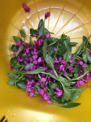 荆花枸杞芽炒水蛋的做法步骤：1