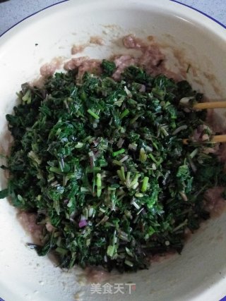 河芹蒸饺的做法步骤：11