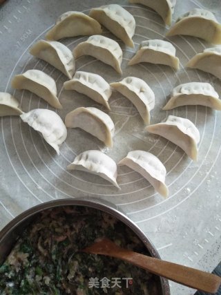 河芹蒸饺的做法步骤：15