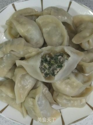 河芹蒸饺的做法步骤：17