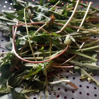 #野菜集#蒲公英鸡蛋卷饼的做法步骤：2