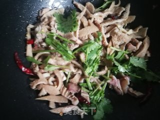 香菜炒羊肚的做法步骤：6