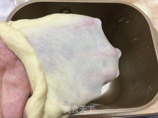 酥皮红豆包的做法步骤：4