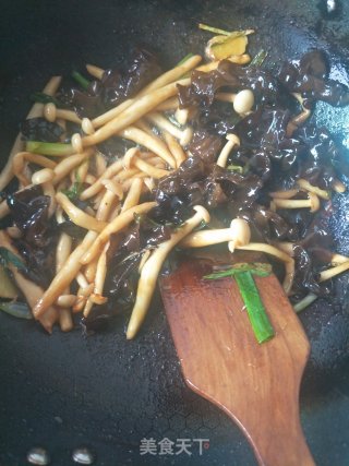 蚝油海鲜菇的做法步骤：5